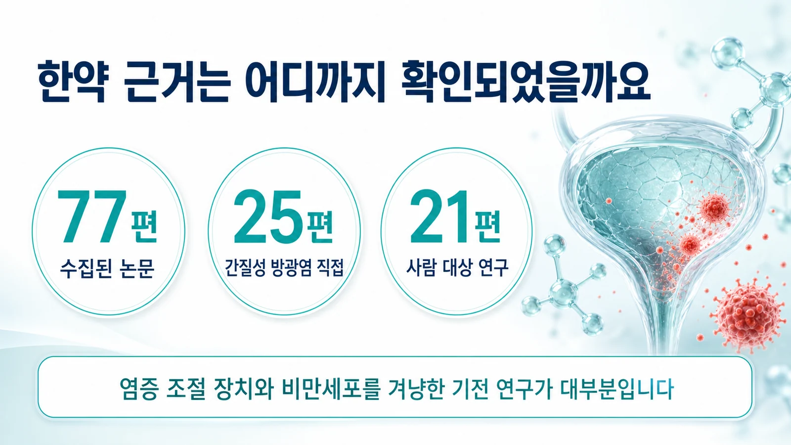 한약 근거의 규모를 정리한 그림. 수집된 논문 77편, 간질성 방광염을 직접 다룬 연구 25편, 사람을 대상으로 한 연구 21편이 원형 배지로 표시되어 있다