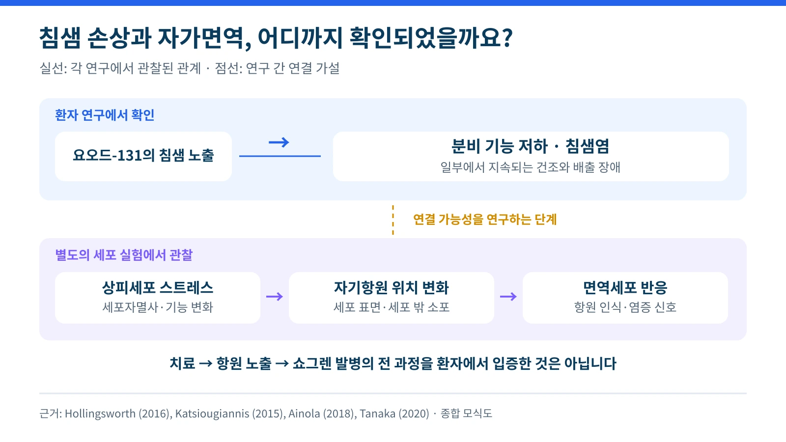 방사성요오드에 의한 침샘 기능 저하와 실험에서 관찰된 항원 노출을 구분하고, 실제 자가면역질환 발생까지는 추가 검증이 필요함을 보여주는 기전도