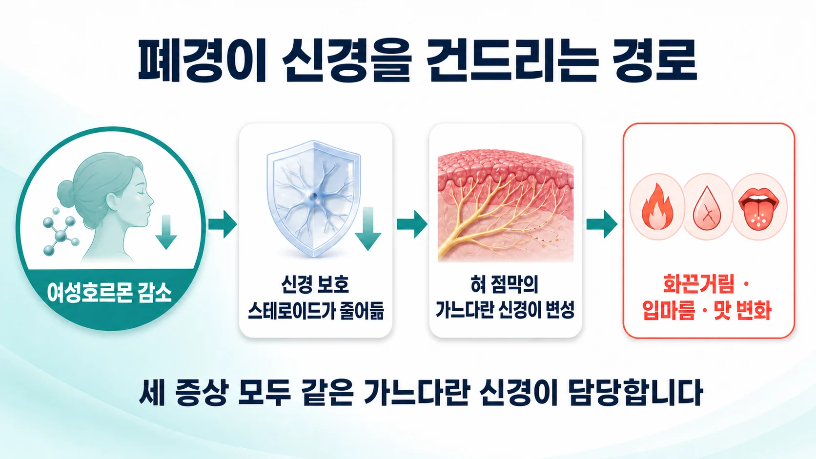 여성호르몬 감소에서 신경 보호 스테로이드 감소를 거쳐 혀 점막의 가느다란 신경 변성과 화끈거림으로 이어지는 흐름 도식
