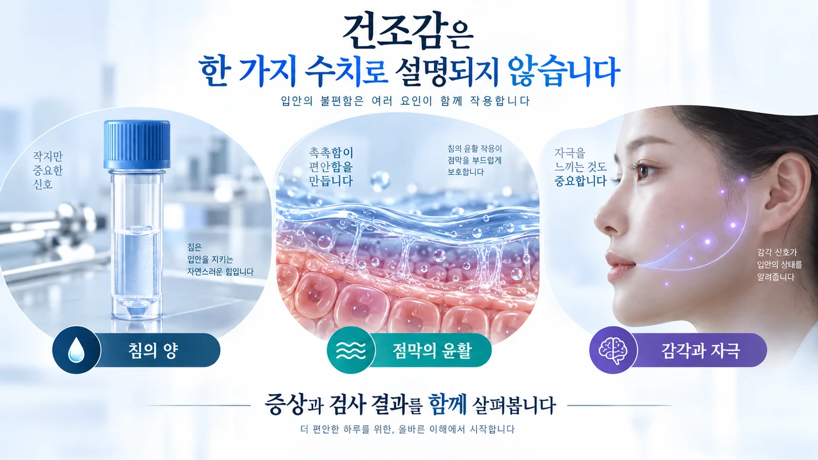 입마름을 이해할 때 침의 양과 점막의 윤활 상태 및 감각과 자극을 함께 살펴야 함을 보여 주는 그림