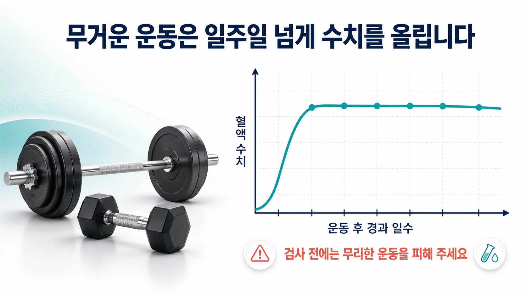 바벨과 덤벨 옆에 운동 후 일주일 넘게 혈액 수치가 높게 유지되는 곡선을 보여주는 그래프 이미지