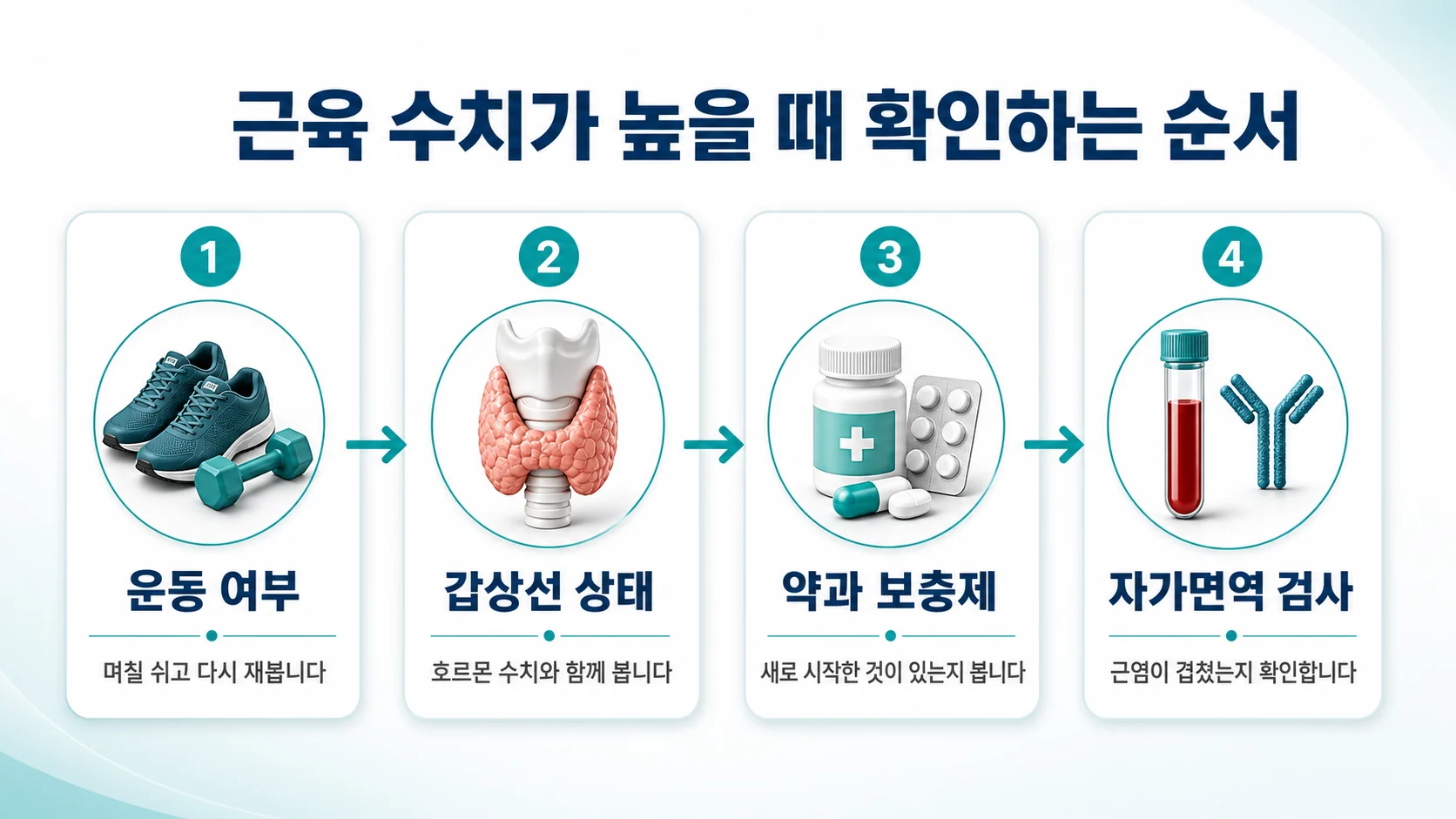 근육 수치가 높을 때 운동 여부·갑상선 상태·약과 보충제·자가면역 검사를 차례로 확인하는 4단계 도식