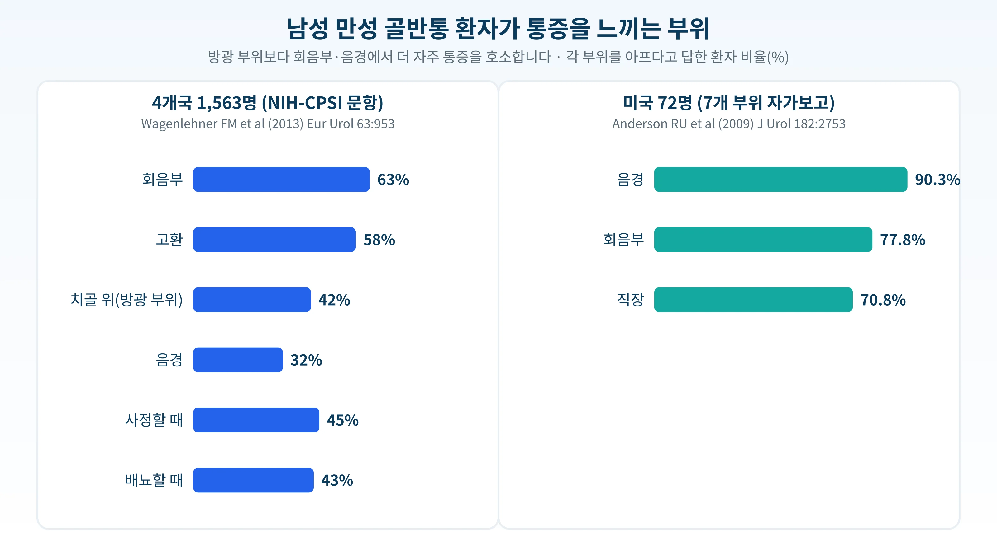 두 연구에서 남성 만성 골반통 환자가 통증을 느낀 부위별 비율을 나타낸 가로 막대 그래프