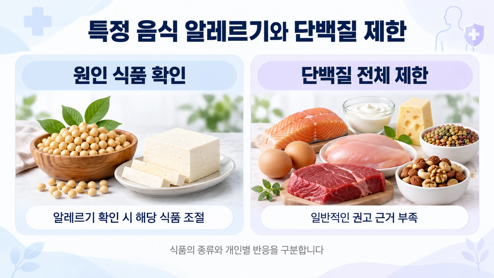 특정 식품 알레르기에 따른 조절과 모든 단백질 식품 제한의 근거를 구분한 그림