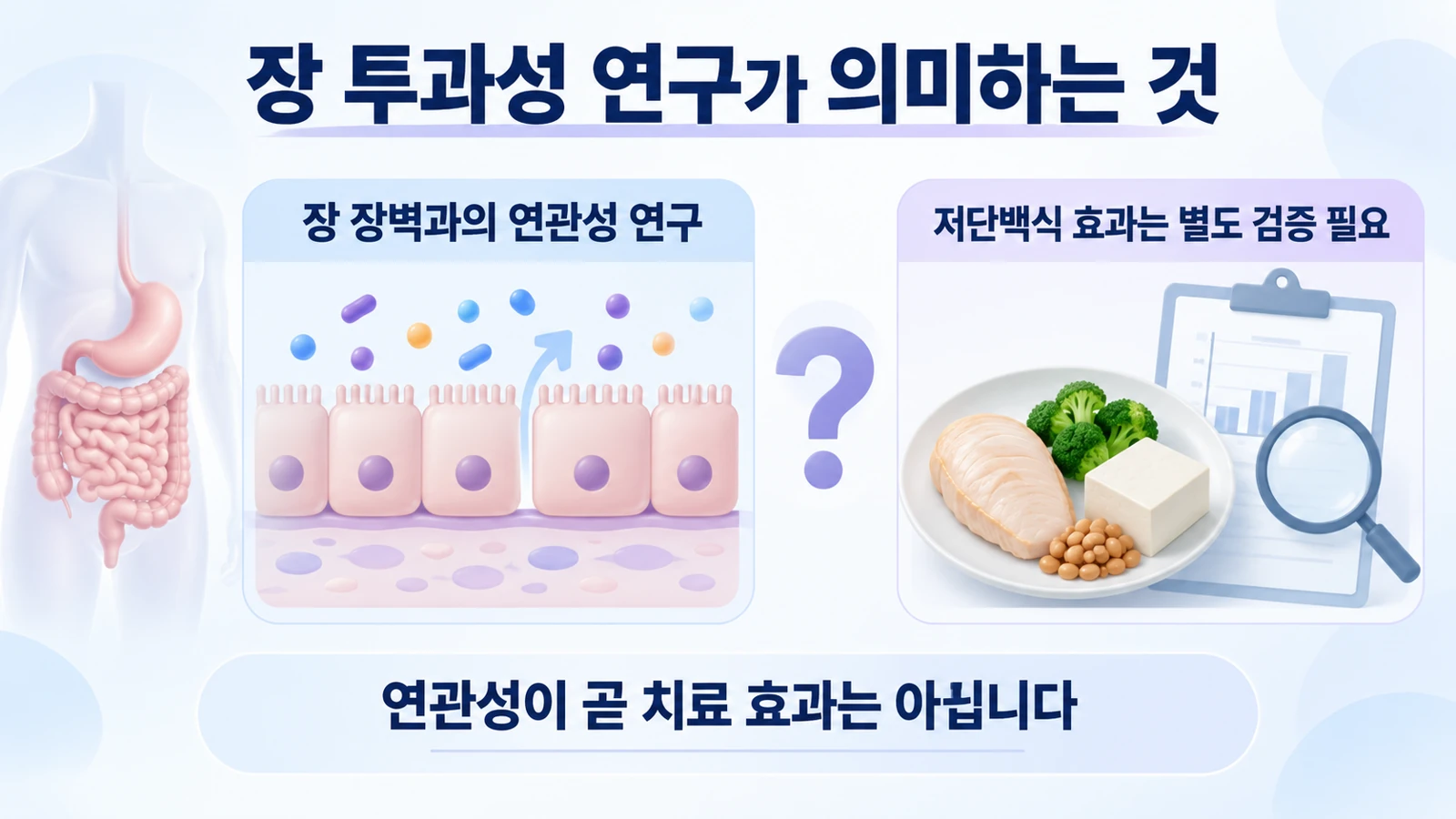 장 장벽과 피부 증상의 연관성 연구와 저단백식의 임상 효과 검증이 다름을 설명한 그림