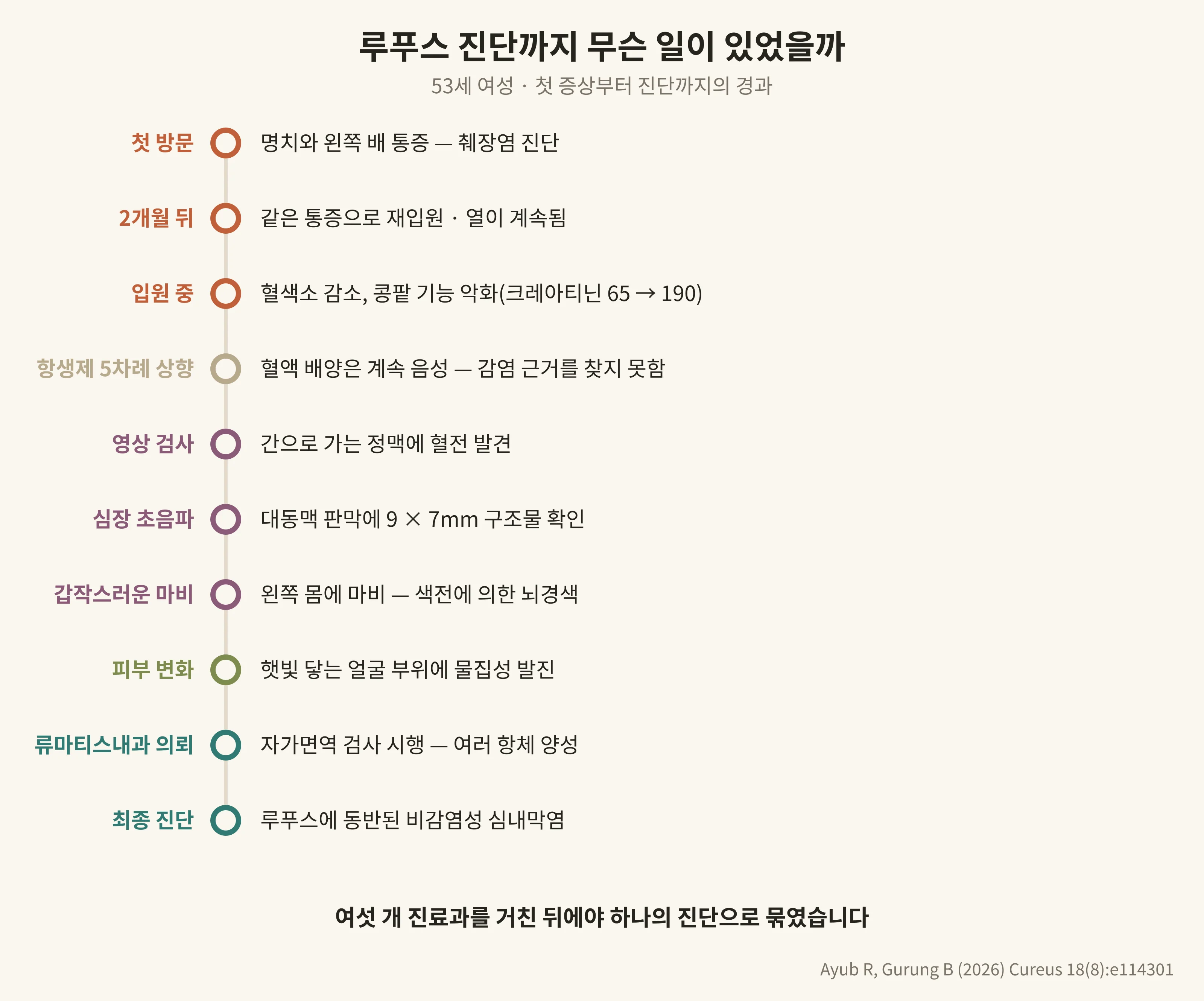루푸스 진단까지 무슨 일이 있었을까