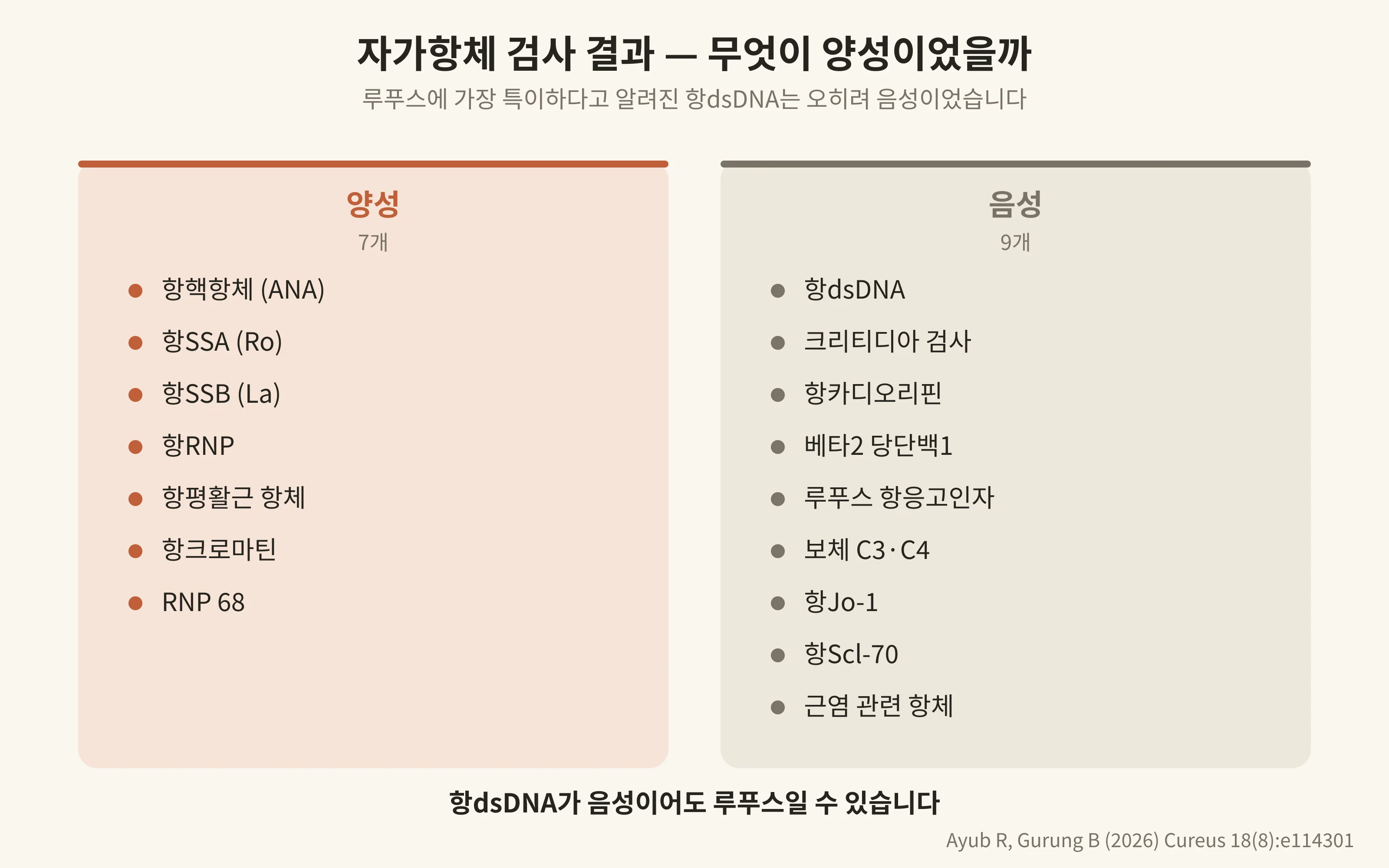 자가항체 검사 결과 — 무엇이 양성이었을까