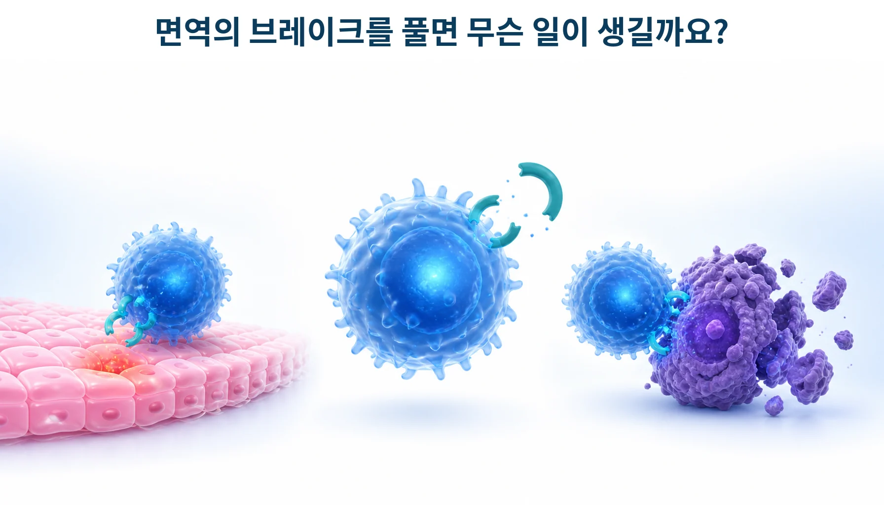 면역의 제동이 풀린 뒤 종양과 정상 조직이 함께 공격받는 상황을 형상화한 개념 그림