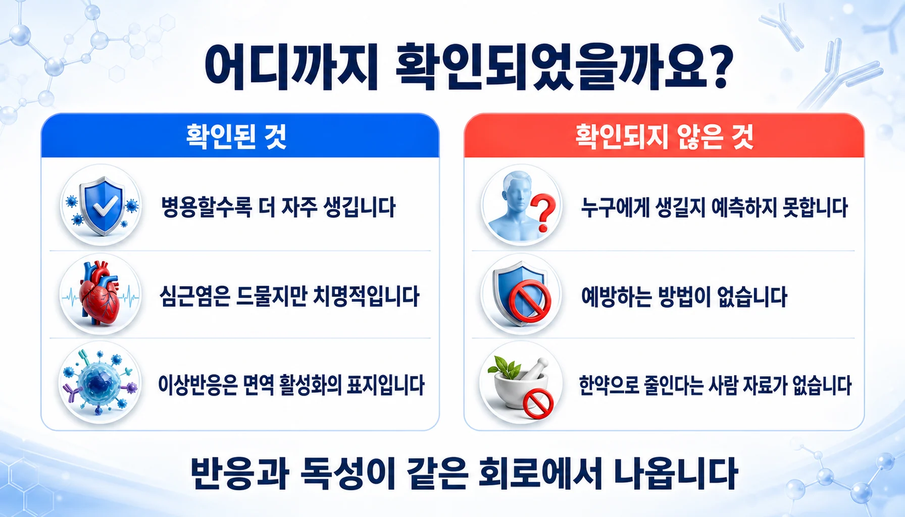 면역관련 이상반응에 대해 확인된 것과 확인되지 않은 것을 두 칸으로 정리한 그림