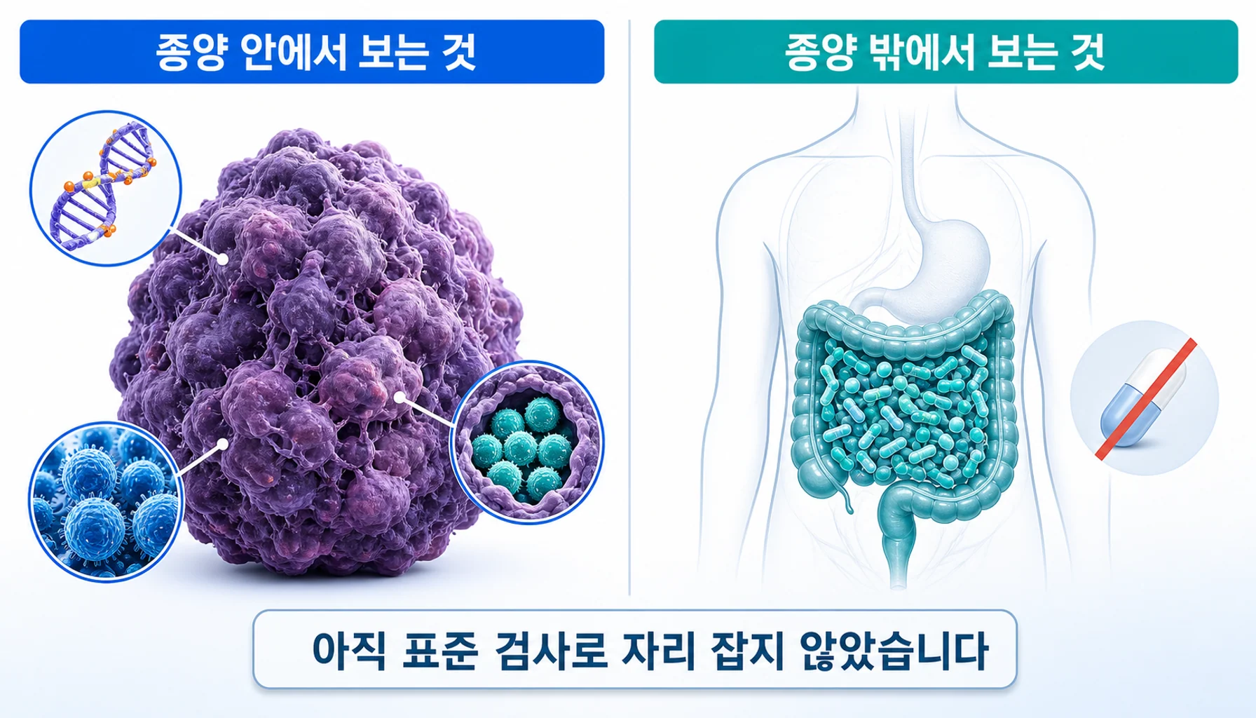 종양 안과 밖에서 반응 예측에 쓰이는 여러 지표를 정리한 그림