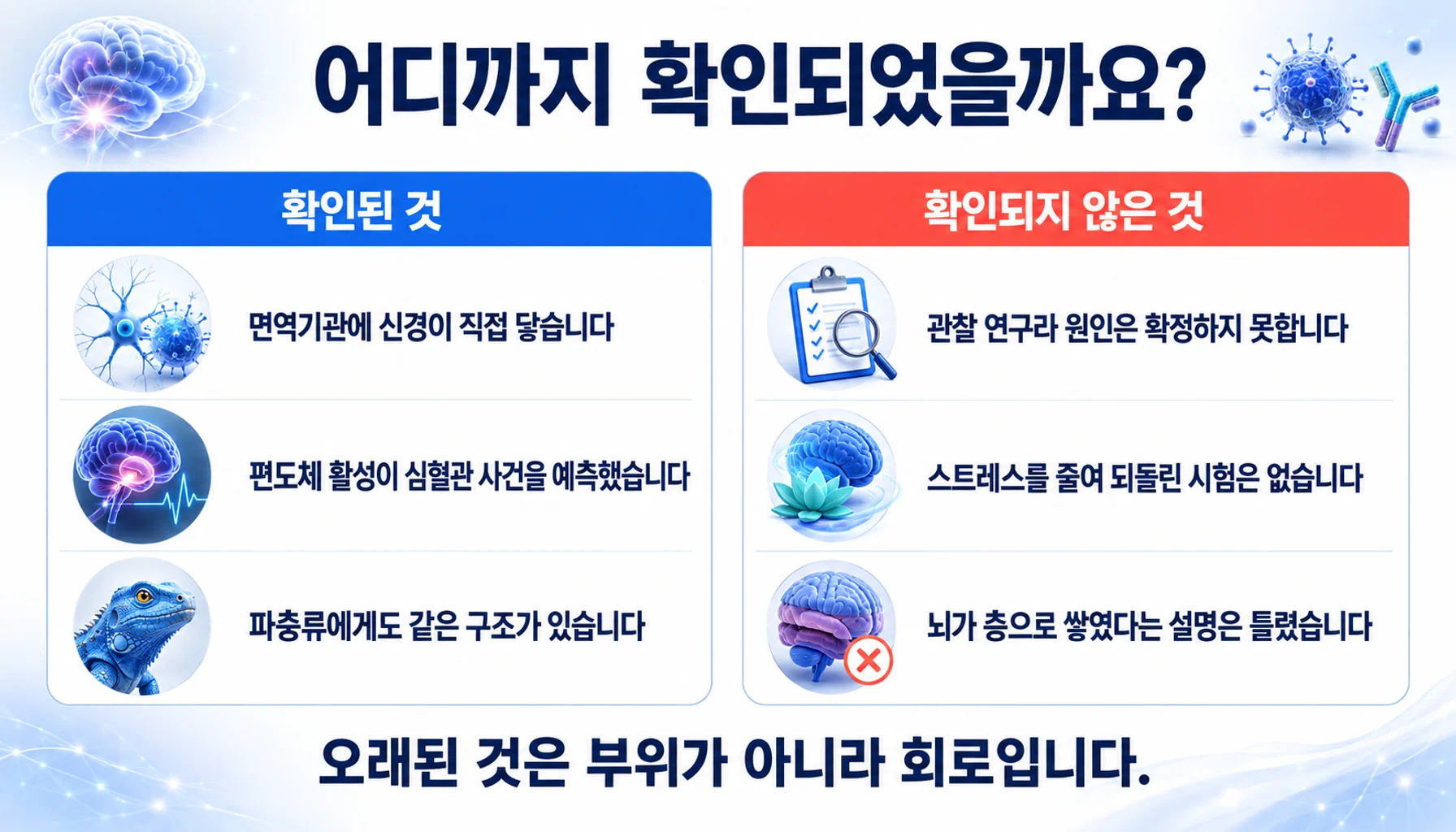 변연계와 면역, 그리고 뇌 진화에 대해 확인된 것과 확인되지 않은 것을 두 칸으로 정리한 그림