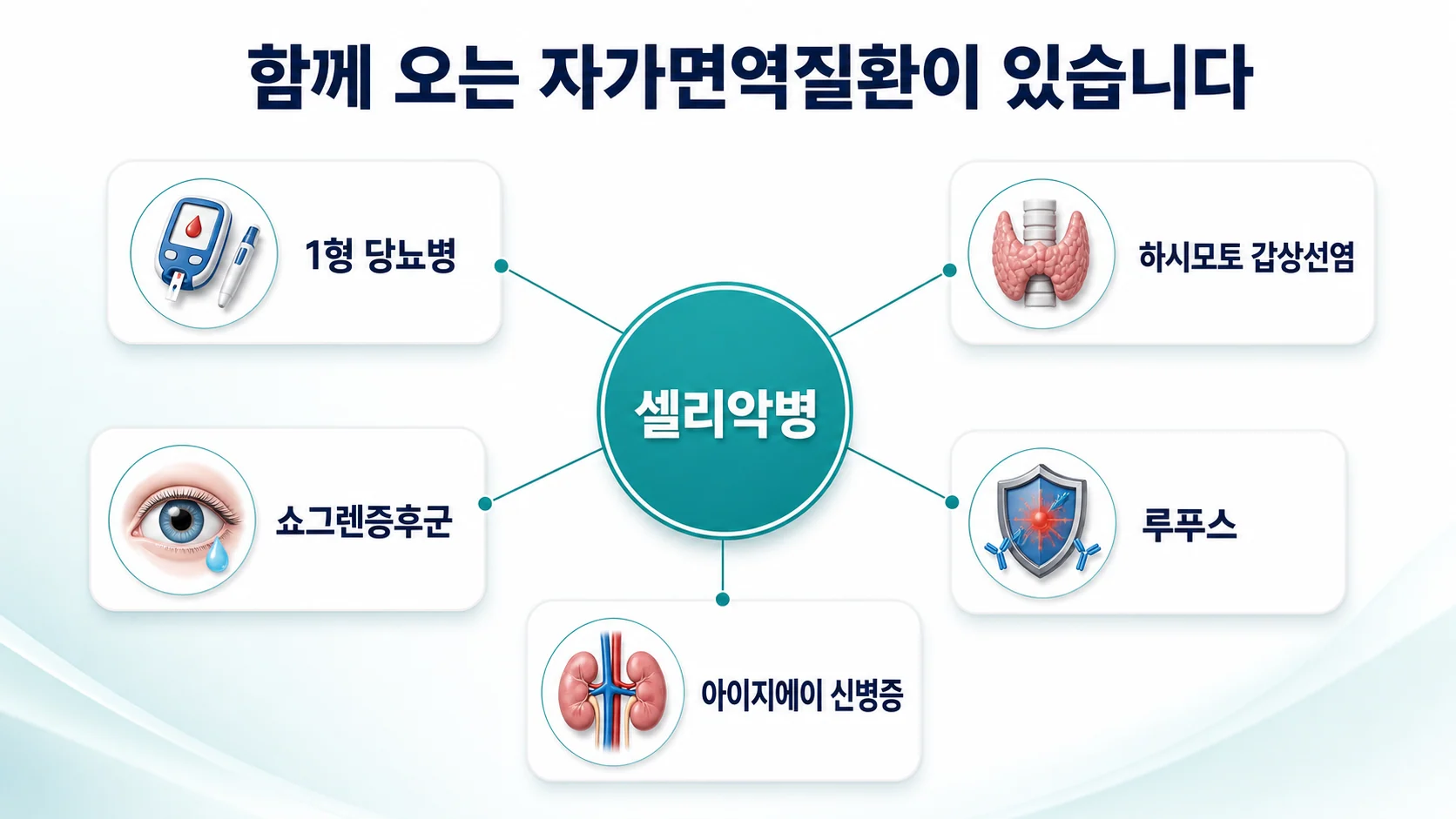 셀리악병을 중심에 두고 1형 당뇨병, 하시모토 갑상선염, 쇼그렌증후군, 루푸스, 아이지에이 신병증을 잇는 방사형 도식