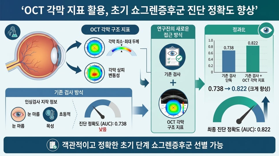 이미지 5
