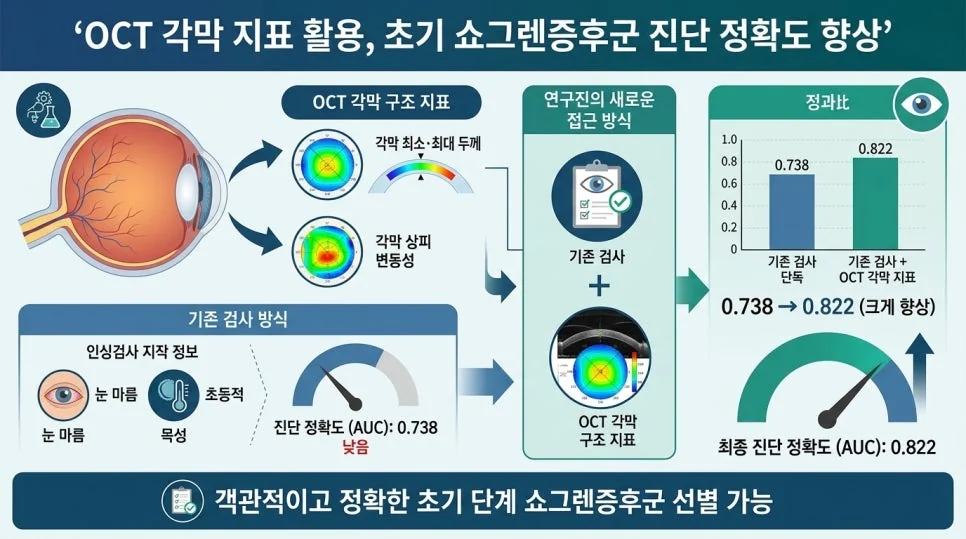 이미지 5