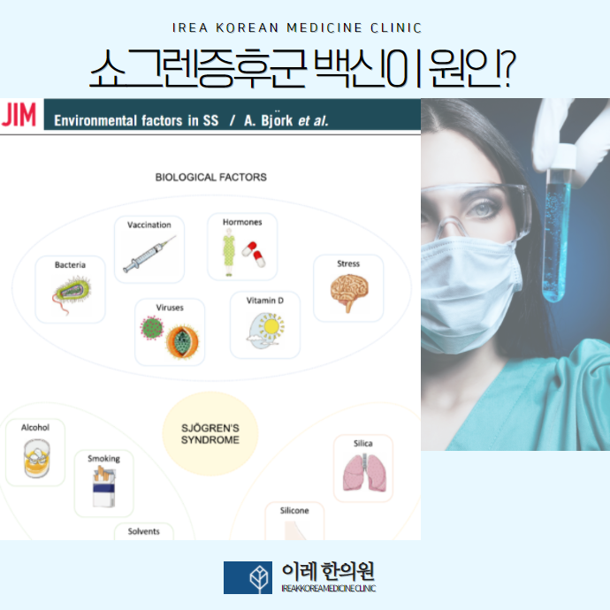 이미지 2