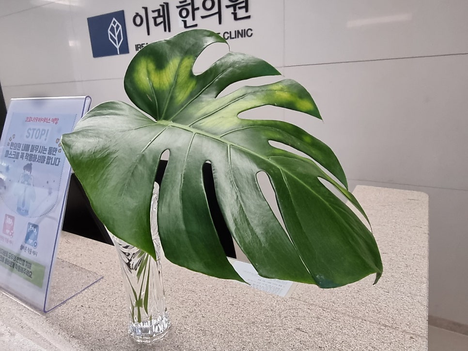 이미지 1