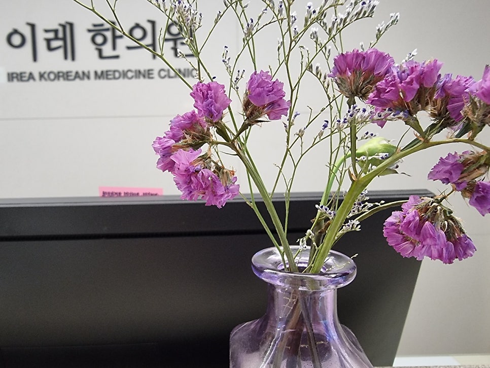 이미지 3