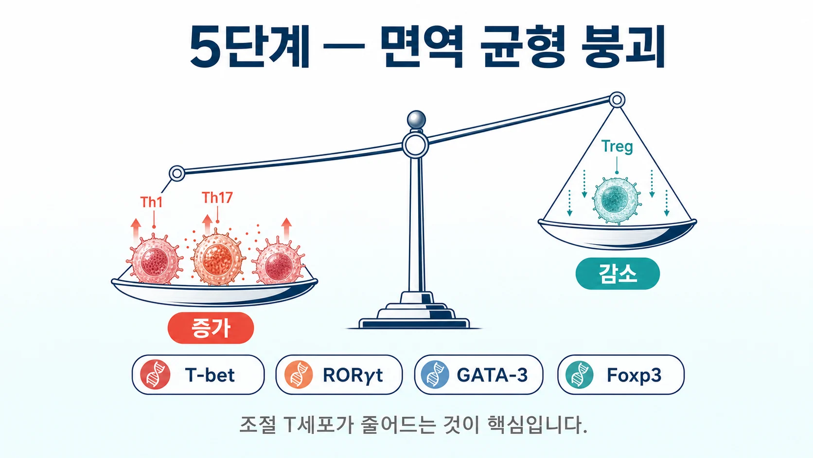 유기용매 노출로 Th1 Th17이 늘고 조절 T세포 Treg가 줄어드는 면역 균형 붕괴를 설명하는 이미지