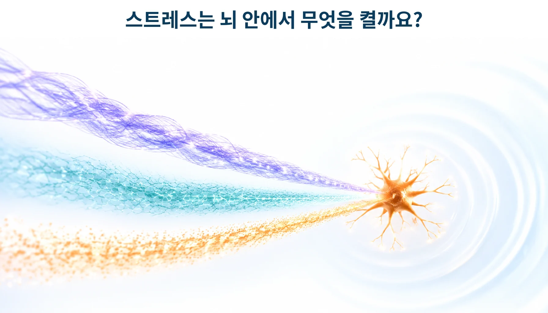 세 갈래의 스트레스가 뇌 안의 면역세포 하나로 모이는 모습을 형상화한 개념 그림