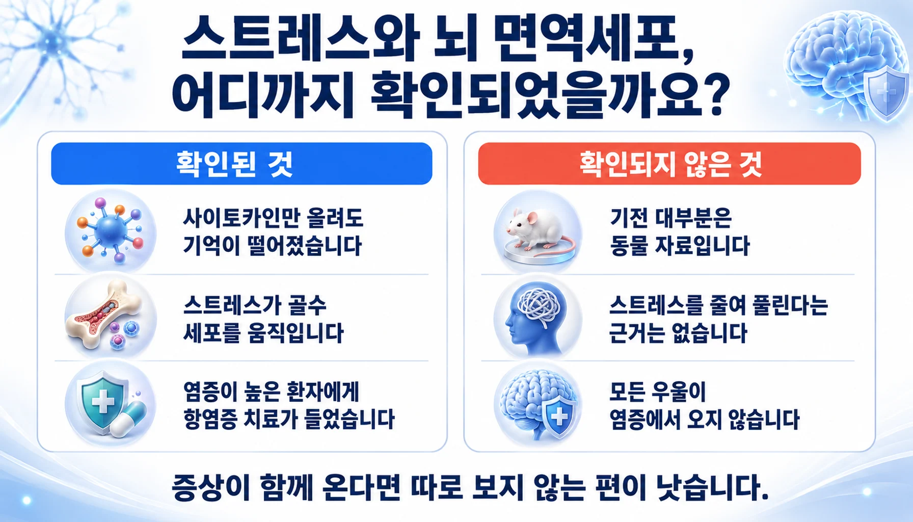 스트레스와 뇌 면역세포에 대해 확인된 것과 확인되지 않은 것을 두 칸으로 정리한 그림