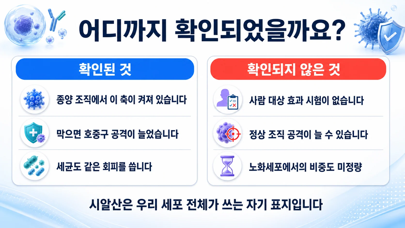 시알산-시글렉 축을 겨냥하는 접근에서 확인된 것과 확인되지 않은 것을 두 칸으로 정리한 그림