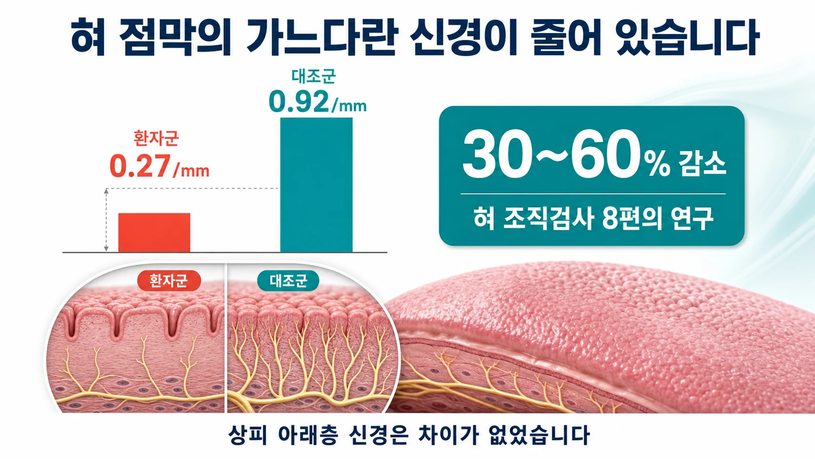 혀 점막 신경섬유 밀도가 감소한 정도를 비교한 도표