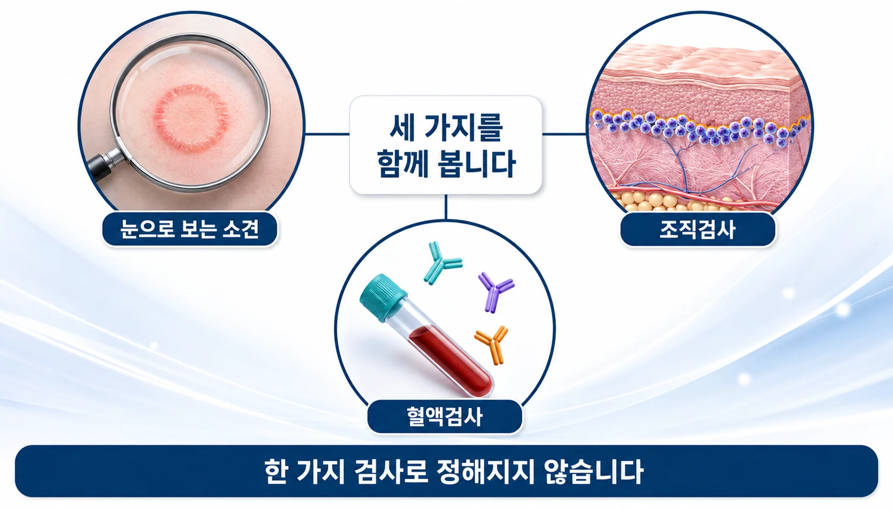 임상 소견과 조직검사, 혈액검사 세 축으로 진단하는 과정을 그린 그림