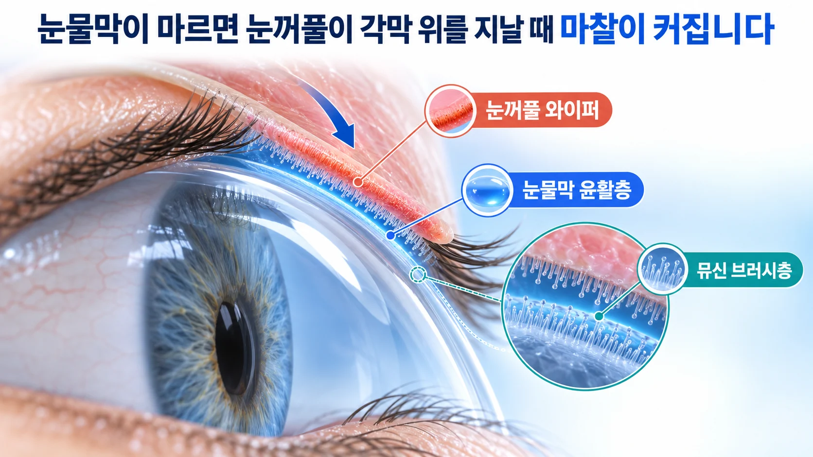 눈꺼풀 와이퍼가 각막 위를 지날 때 눈물막 윤활층과 뮤신 브러시층이 마찰을 줄이는 구조를 보여 주는 3D 단면 그림