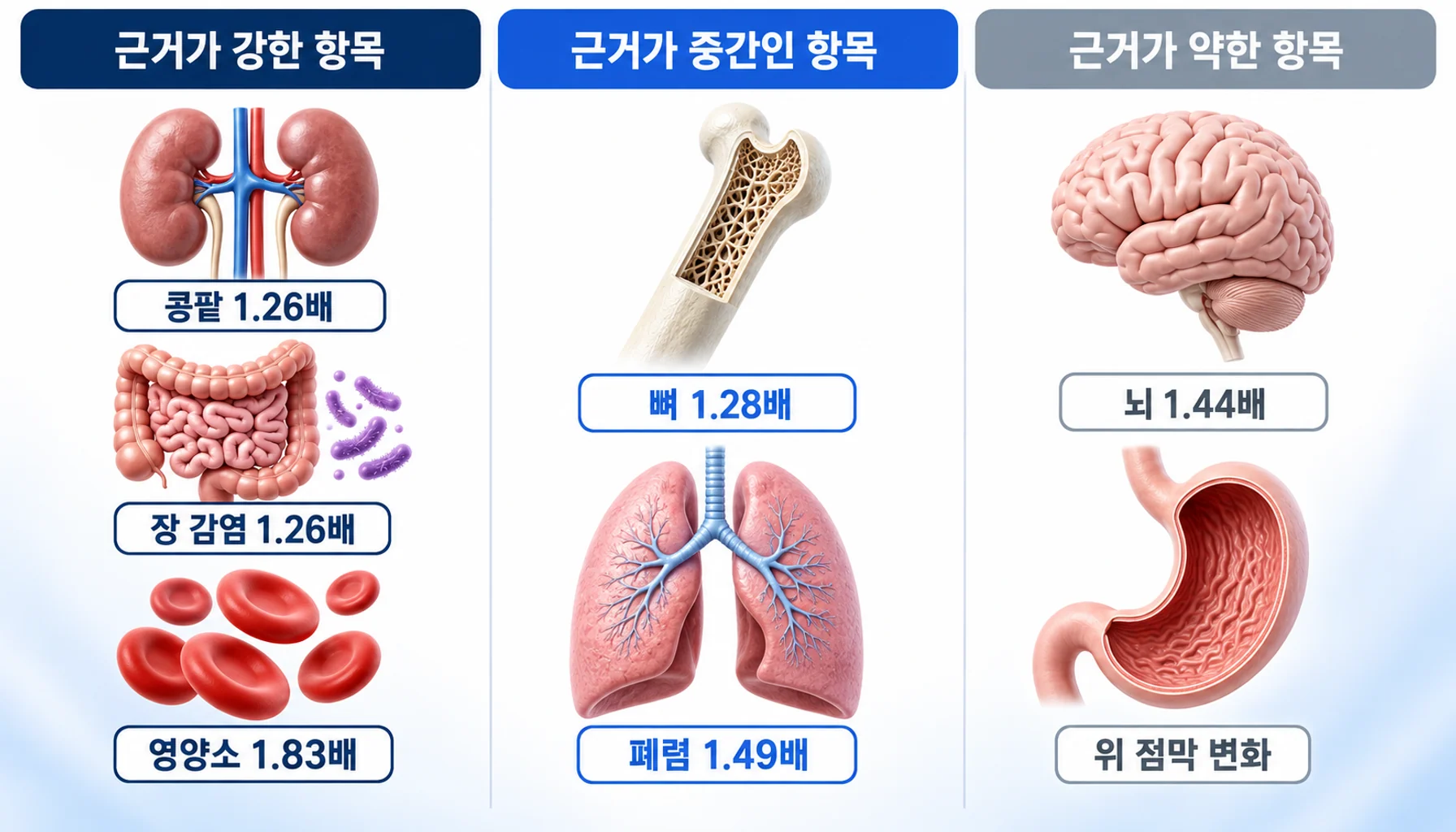 양성자펌프억제제 장기 복용과 관련해 보고된 항목을 콩팥·뇌·뼈·장·영양소·위로 나누어 배치한 정리도