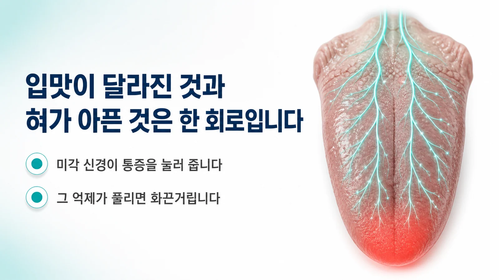 입맛이 달라진 것과 혀가 아픈 것이 한 회로라는 것을 설명하는 그림. 미각 신경이 통증을 눌러 주고, 그 억제가 풀리면 화끈거린다는 두 문장과 함께 혀와 신경 경로가 그려져 있다