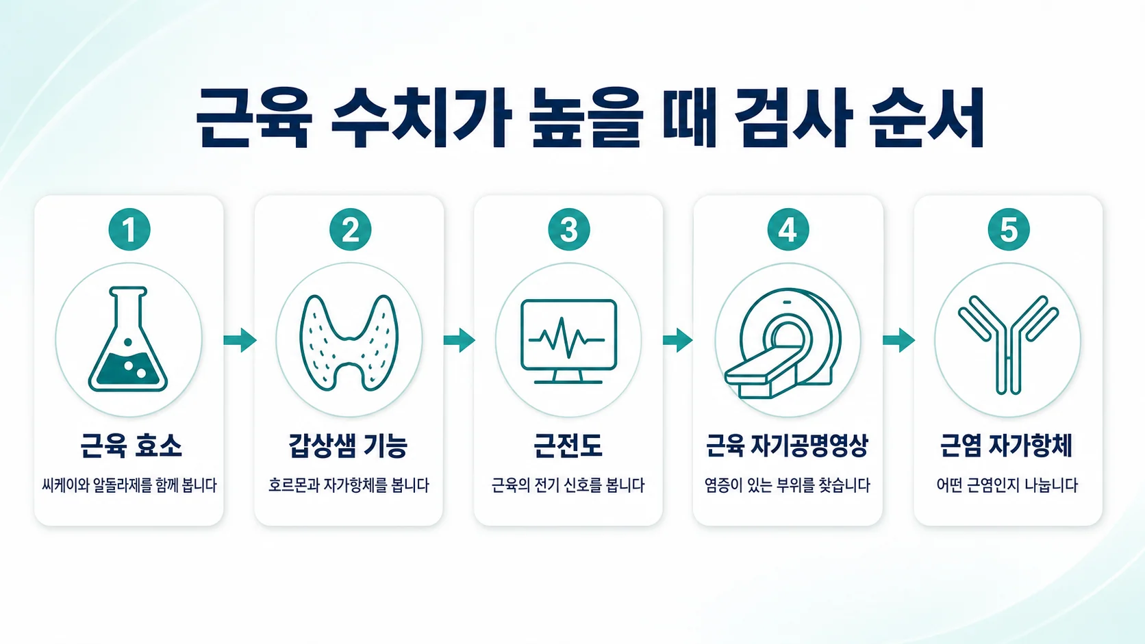 근육 효소·갑상샘 기능·근전도·근육 자기공명영상·근염 자가항체로 이어지는 5단계 검사 순서 도식