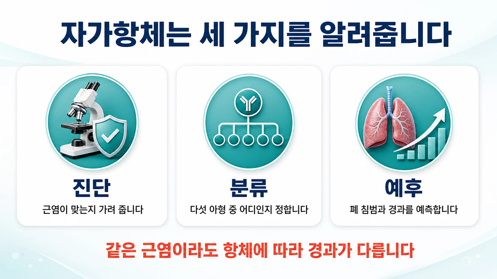 자가항체가 진단·분류·예후 세 가지를 알려준다는 것을 정리한 도식
