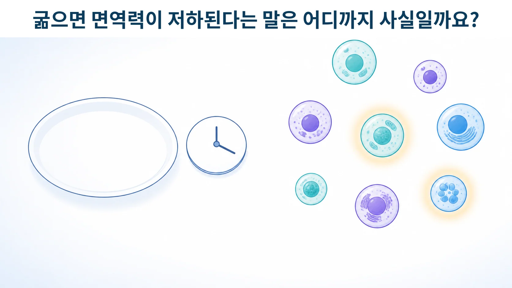 빈 접시와 시계 옆에 면역세포를 상징하는 세포들이 놓여 있는 개념 그림