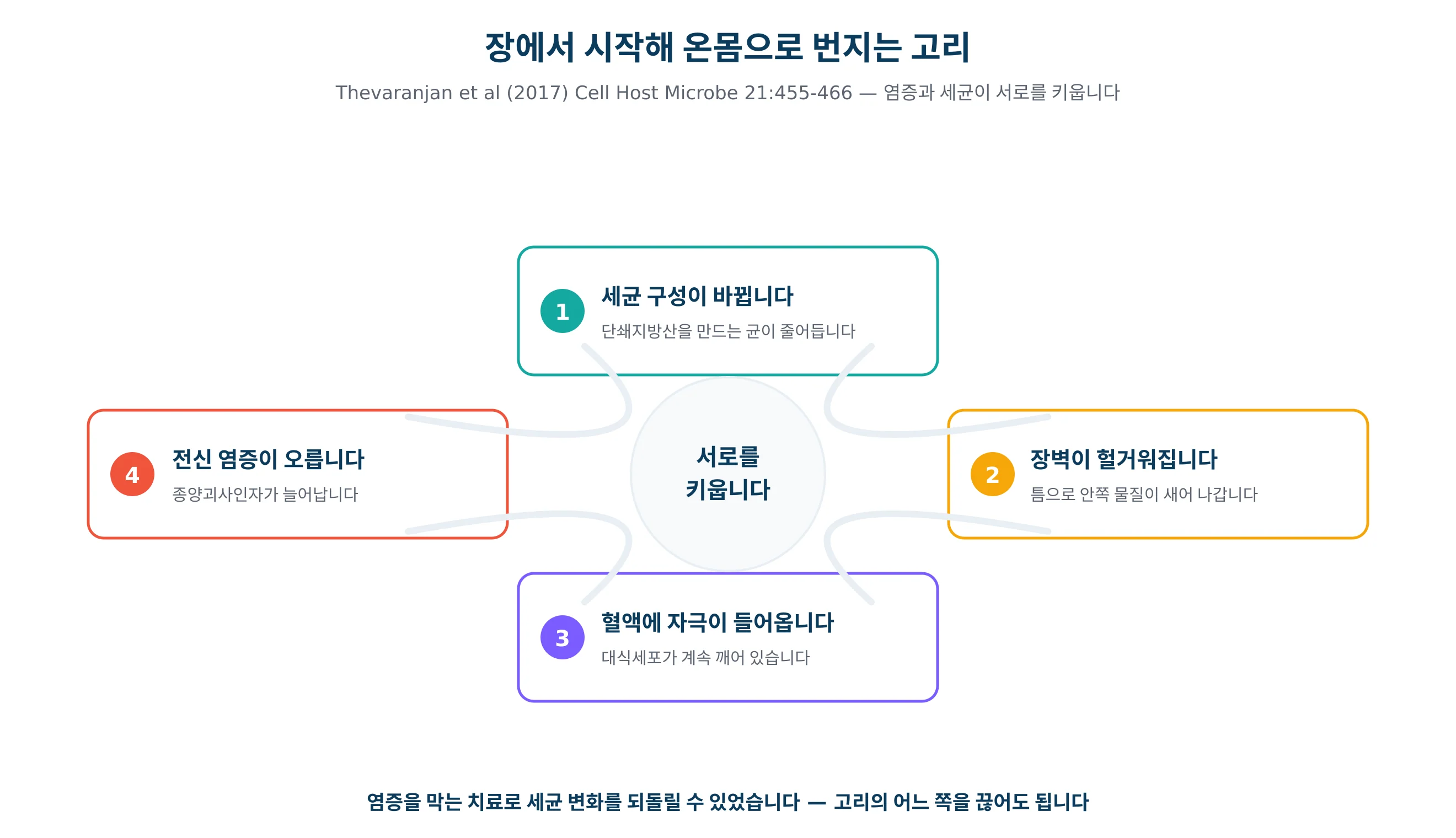 장내세균 구성이 무너질 때 면역이 계속 자극받는 과정을 그린 그림
