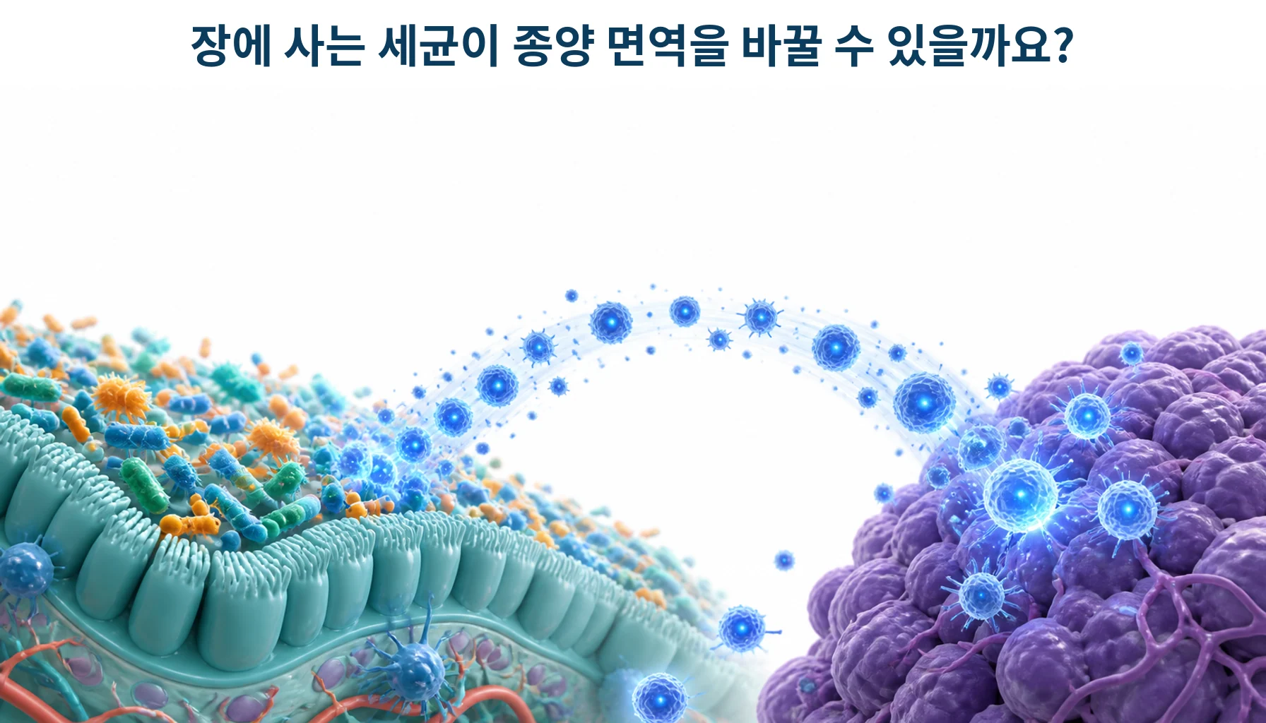 장에 사는 세균 생태계가 멀리 있는 종양의 면역 반응을 좌우하는 관계를 형상화한 개념 그림