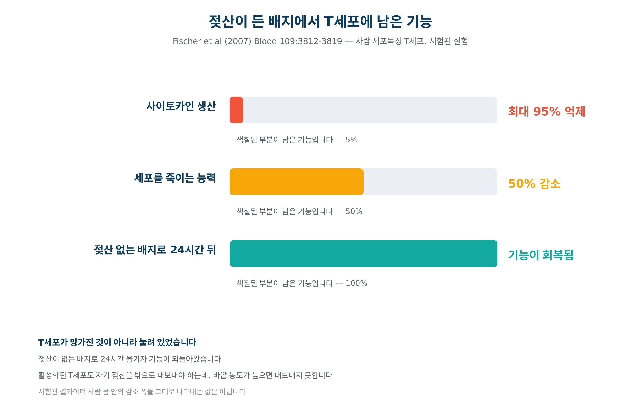 젖산 환경에서 T세포의 기능이 얼마나 남는지를 그린 그래프