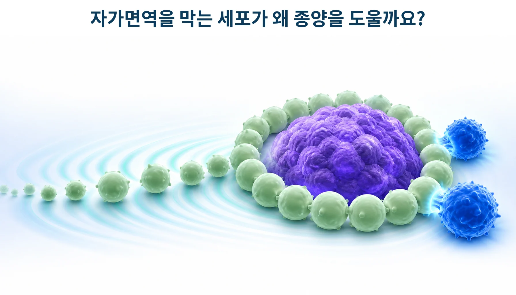 종양이 면역을 억제하는 세포를 자기 주변으로 불러 모으는 모습을 형상화한 개념 그림