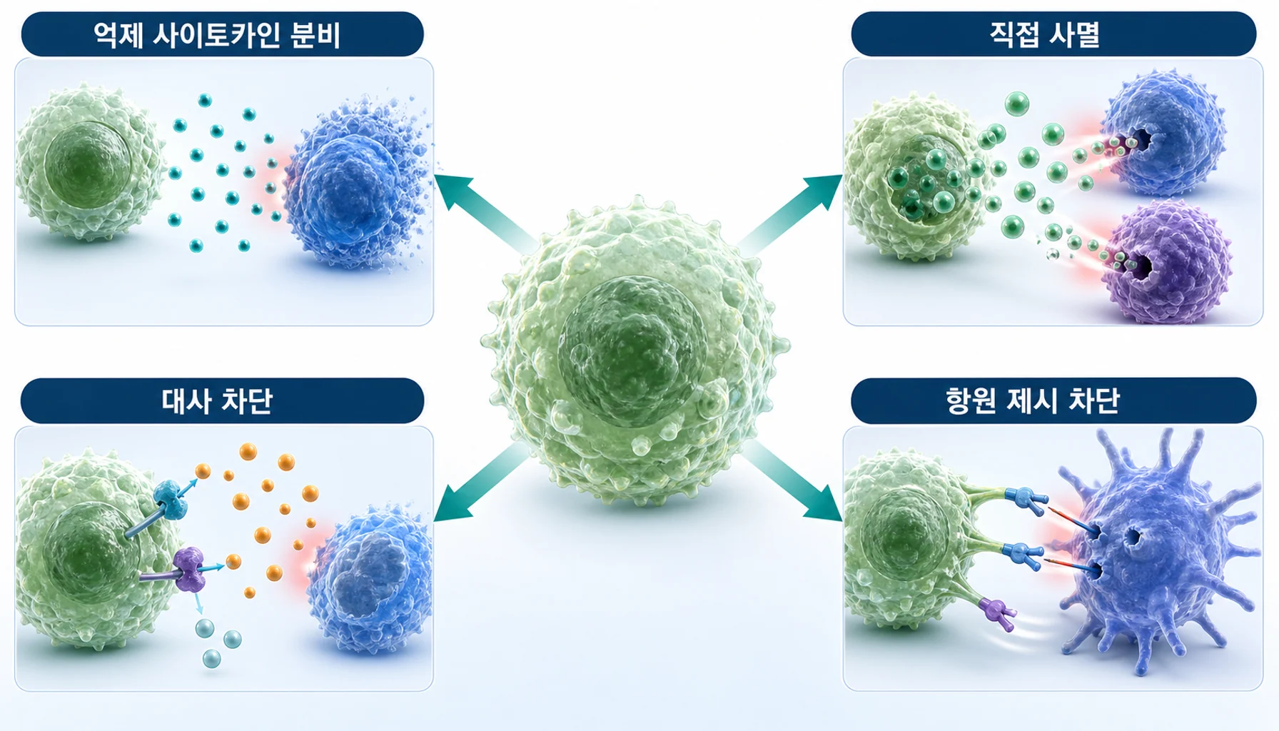 조절 T세포가 다른 면역세포를 막는 네 갈래 방법을 그린 그림