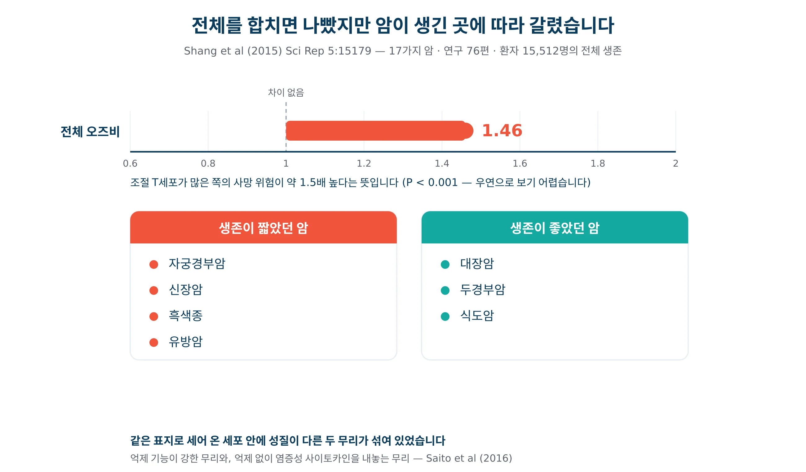 조절 T세포 침윤이 암 종류에 따라 예후에 서로 다르게 작용하는 양상을 그린 그래프
