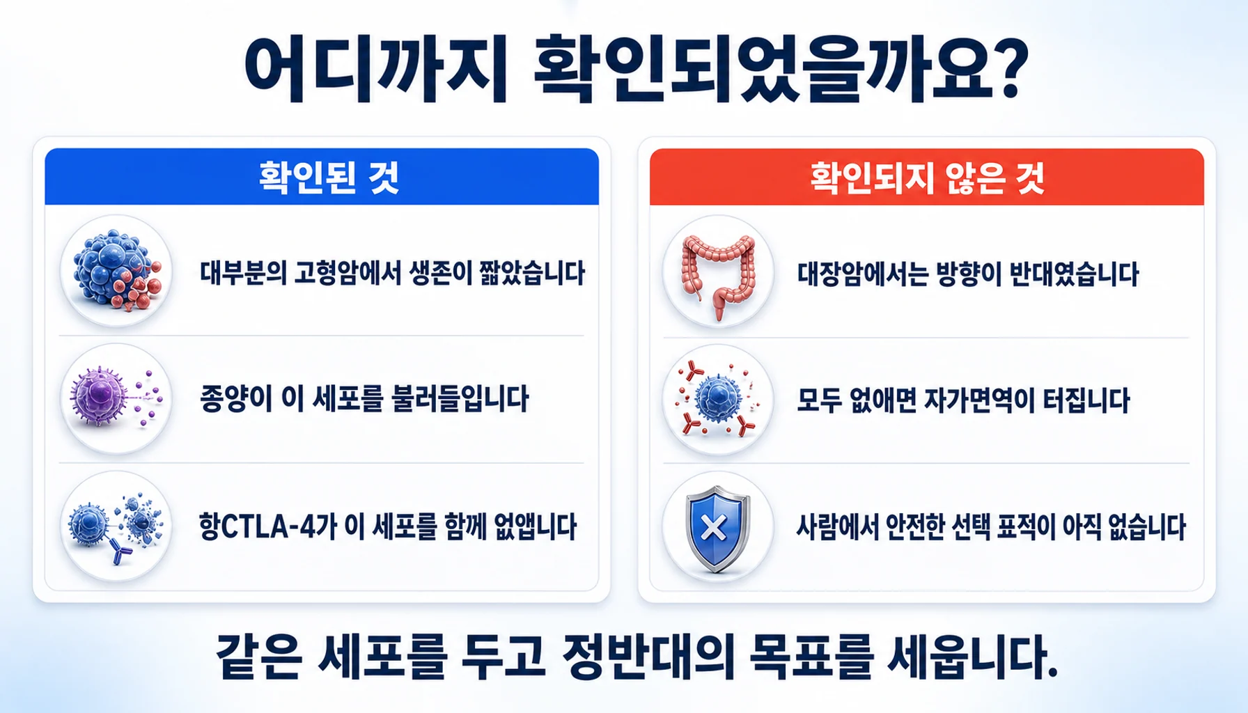조절 T세포 표적 치료에서 확인된 것과 확인되지 않은 것을 두 칸으로 정리한 그림