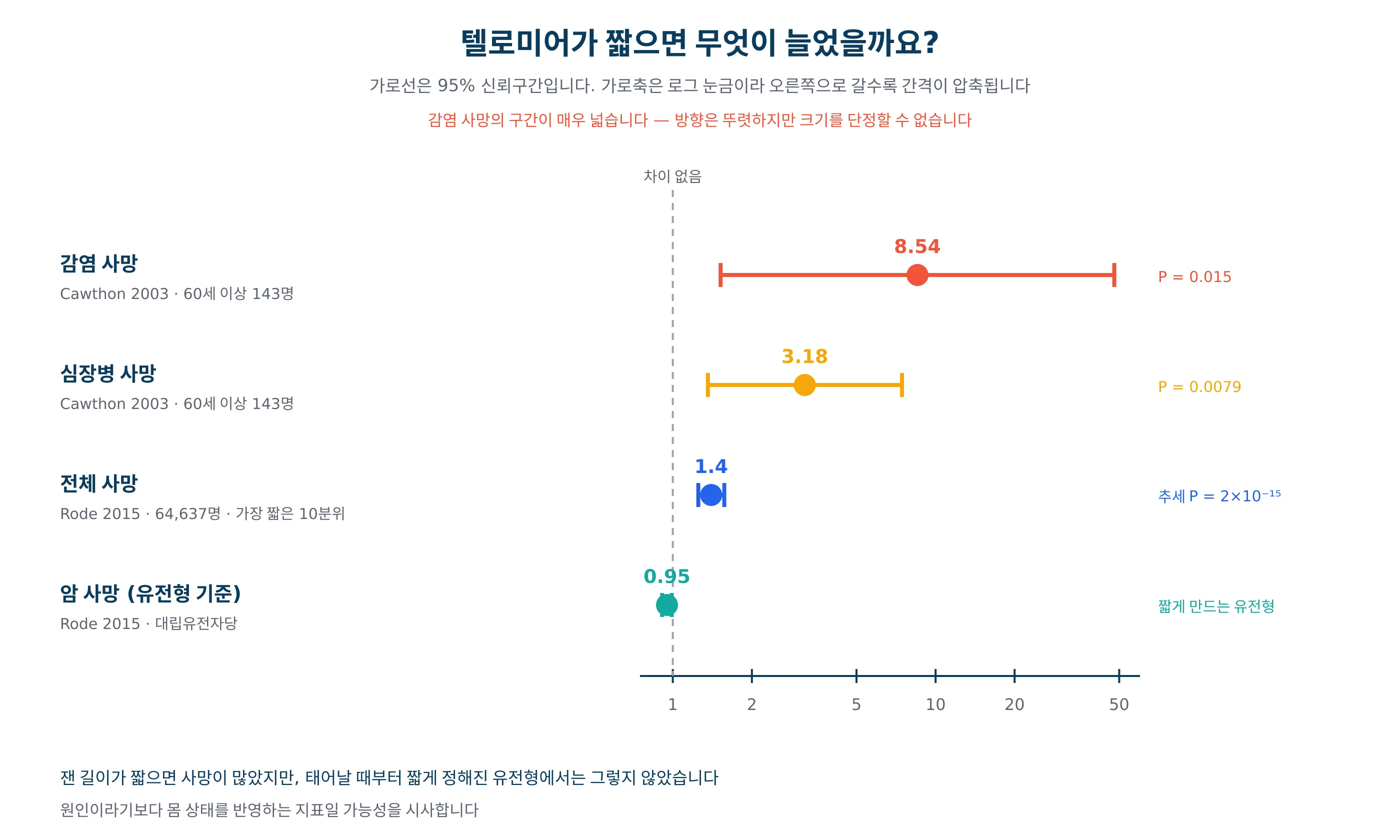 텔로미어가 짧은 노인에서 심장병과 감염 사망 위험이 얼마나 높았는지 그린 그래프