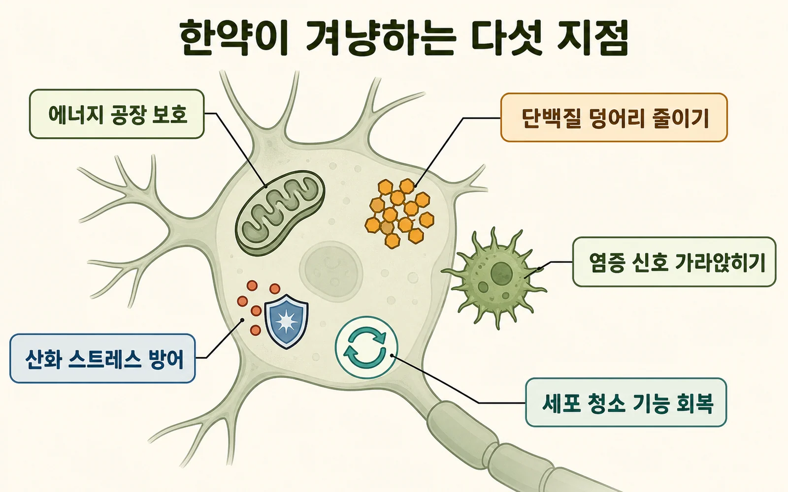 한약이 겨냥하는 다섯 지점
