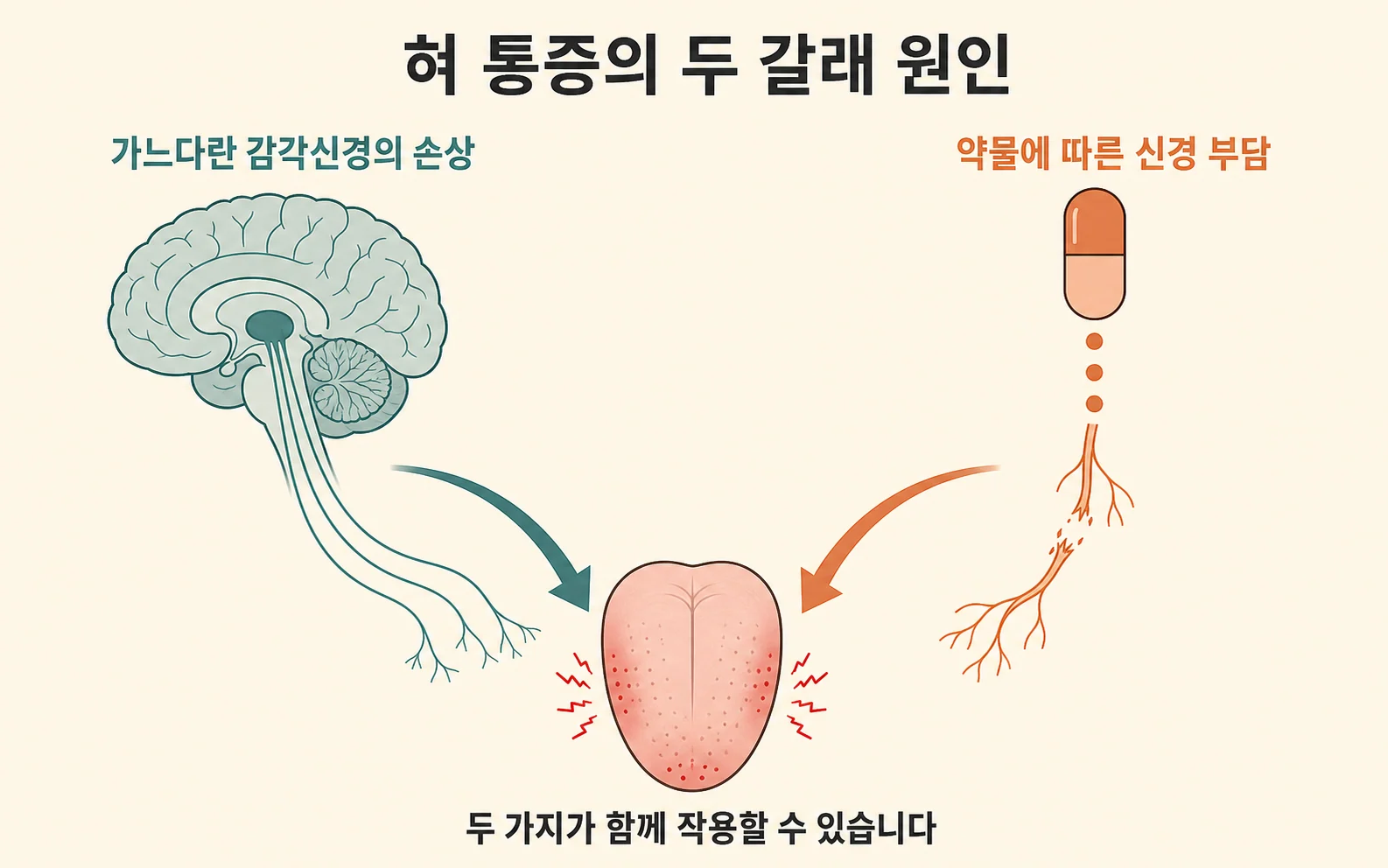 혀 통증의 두 갈래 원인