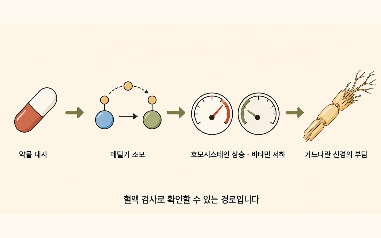 약물 대사에서 신경 부담까지의 경로
