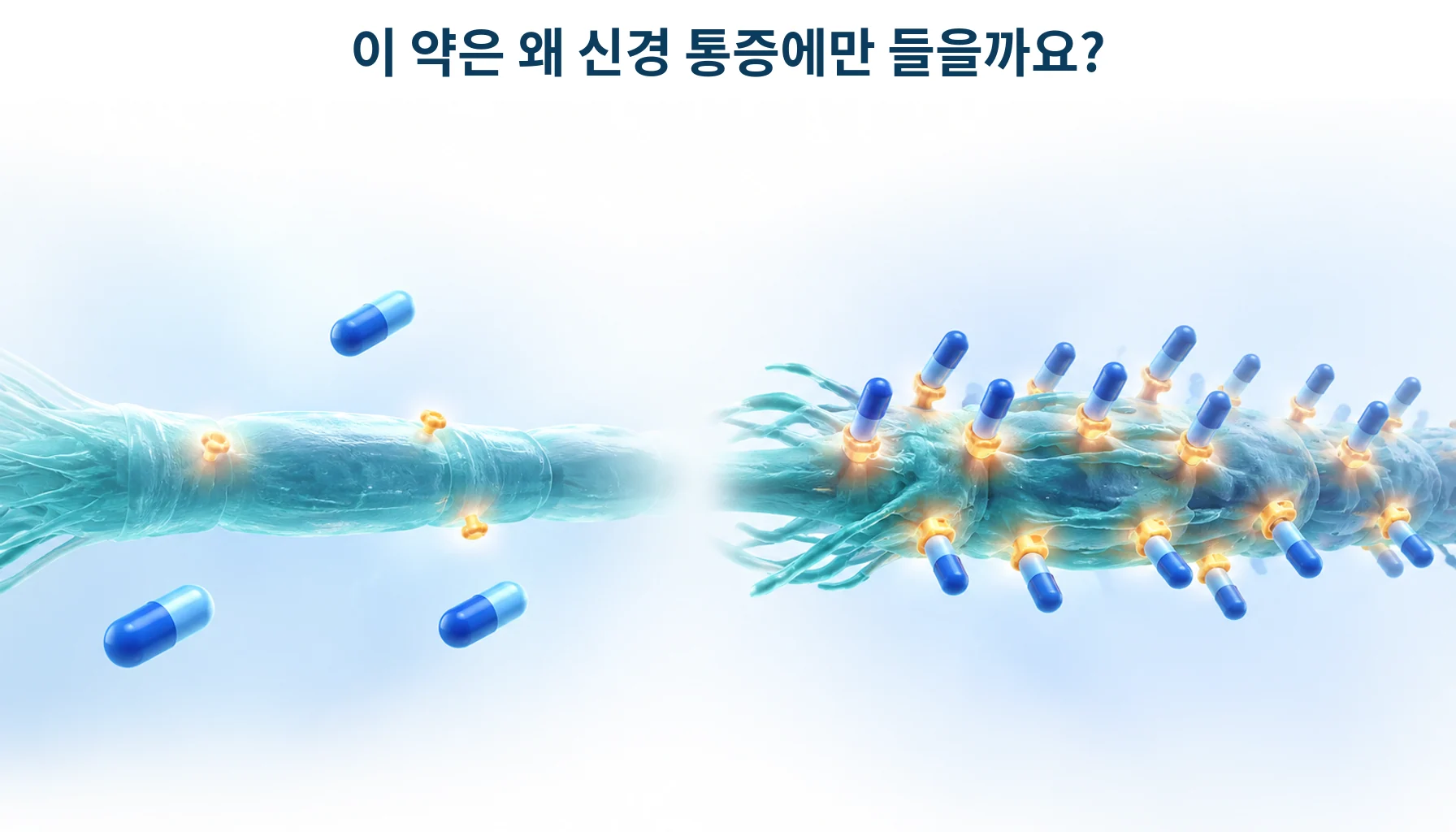 손상된 신경에서만 늘어나는 표적에 약물이 결합하는 과정을 형상화한 개념 그림