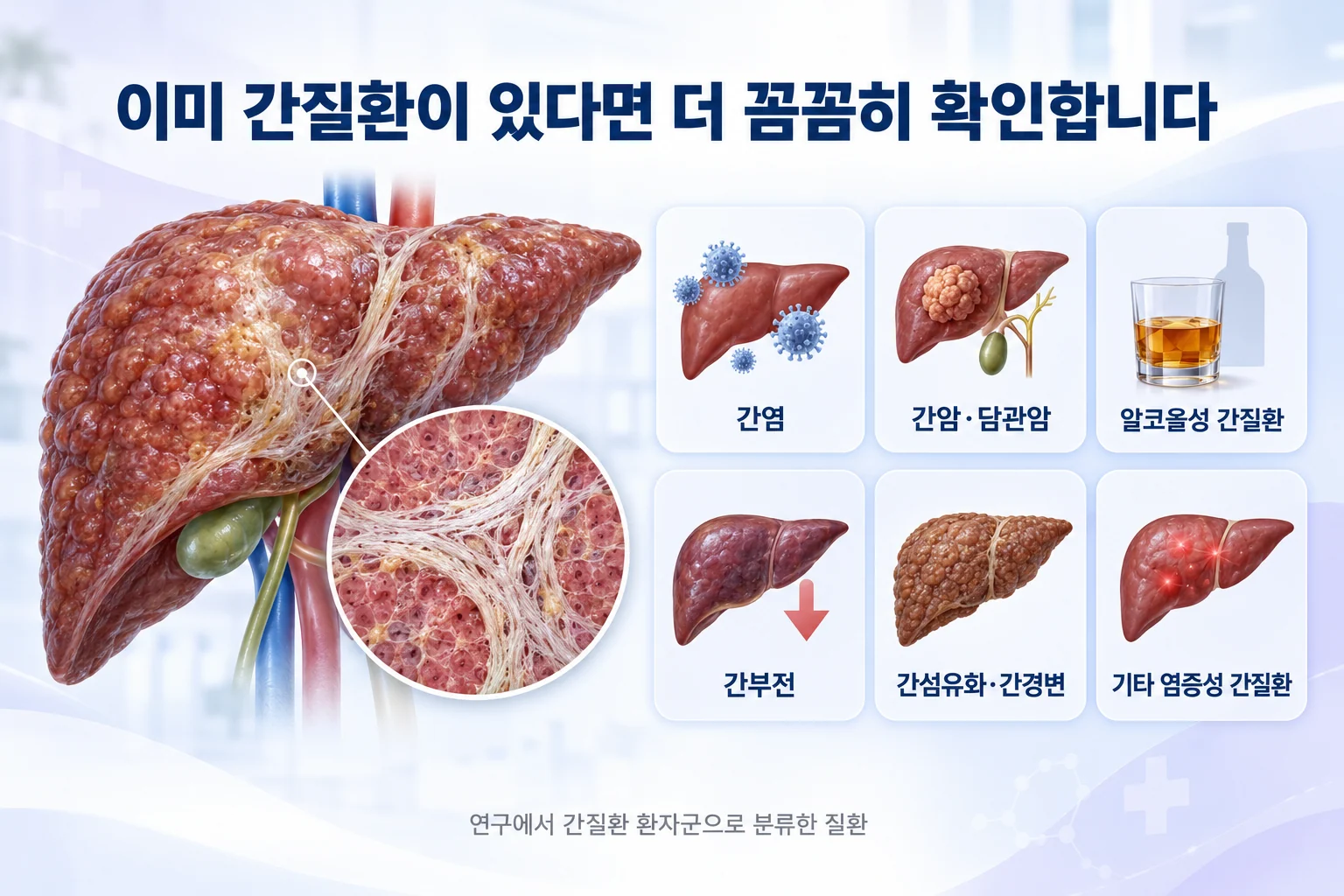 간염, 간암·담관암, 알코올성 간질환, 간부전, 간섬유화·간경변, 기타 염증성 간질환 등 연구에서 간질환 환자군으로 분류한 질환과 섬유화된 간 모식도