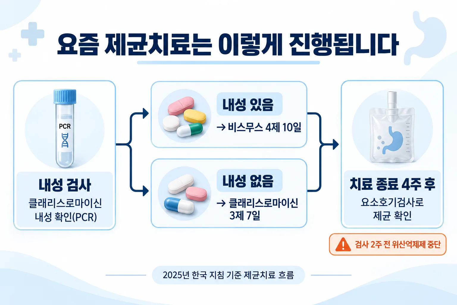 클래리스로마이신 내성 검사 후 비스무스 4제 또는 3제 치료, 4주 뒤 요소호기검사로 제균을 확인하는 흐름도