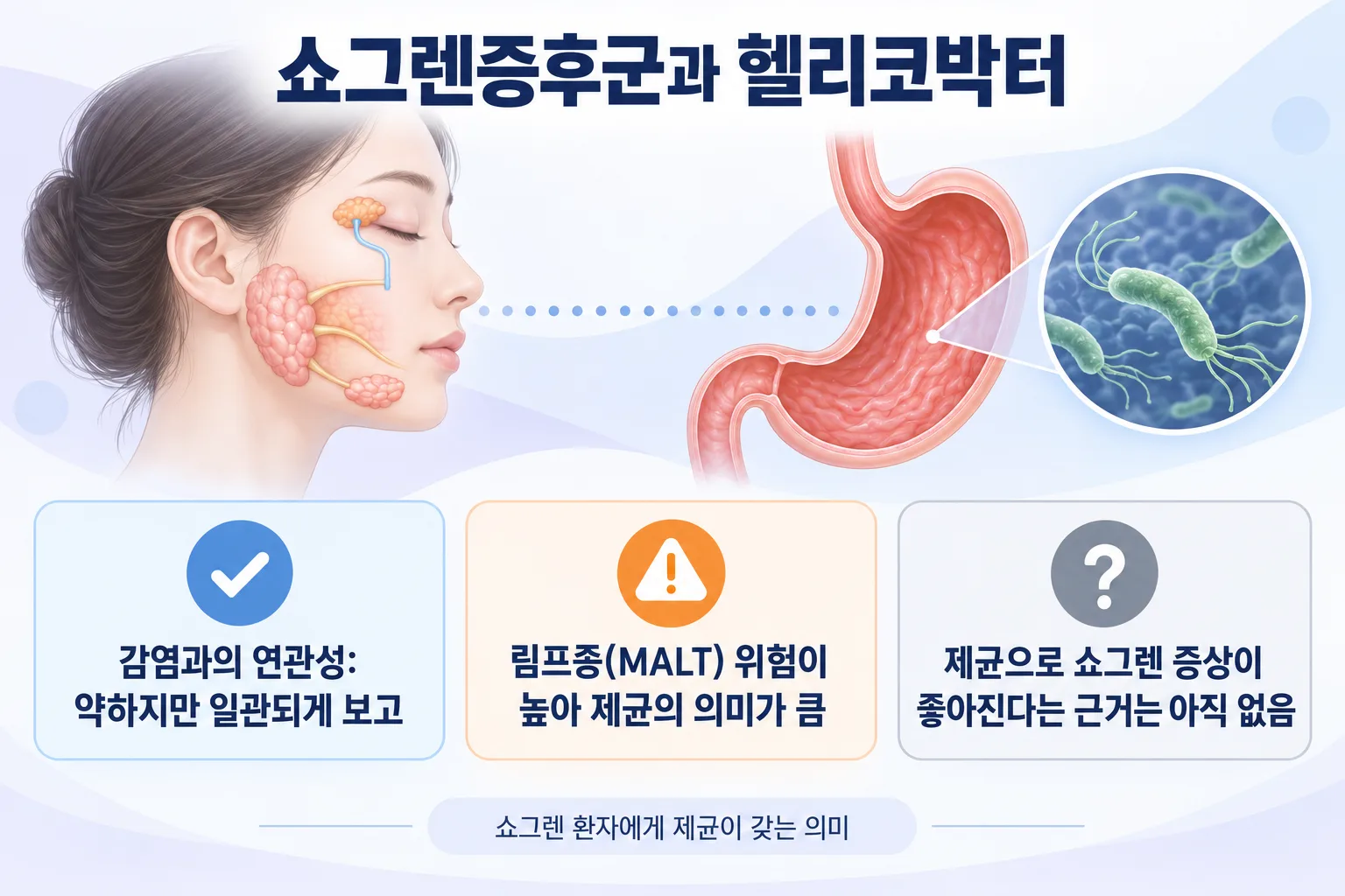 쇼그렌증후군과 헬리코박터의 관계: 약한 연관성, MALT 림프종 위험, 쇼그렌 증상 개선 근거 없음을 정리한 그림