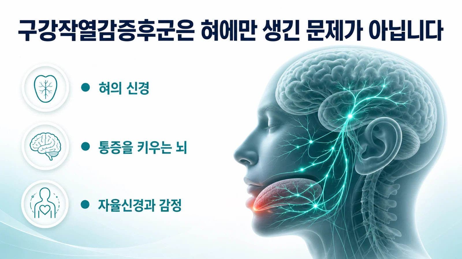 구강작열감증후군은 혀에만 생긴 문제가 아니라는 것을 설명하는 그림. 혀에서 뇌까지 이어지는 신경 경로가 표시되어 있고 혀의 신경, 통증을 키우는 뇌, 자율신경과 감정이라는 세 항목이 정리되어 있다