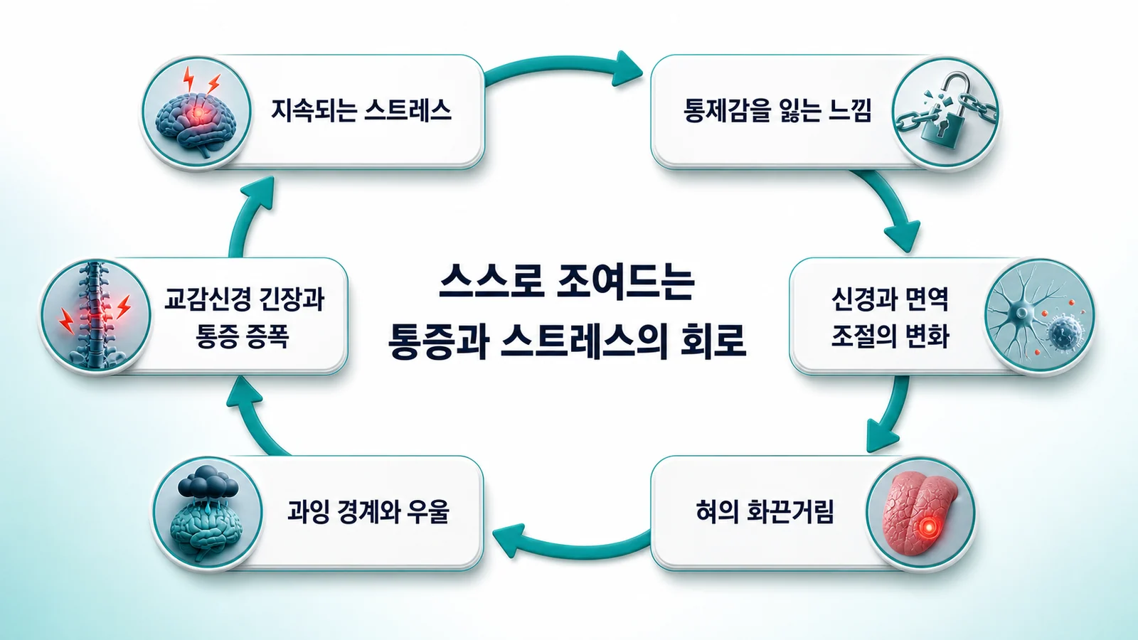 통증과 스트레스가 서로를 키우는 회로를 원형으로 나타낸 그림. 지속되는 스트레스, 통제감을 잃는 느낌, 신경과 면역 조절의 변화, 혀의 화끈거림, 과잉 경계와 우울, 교감신경 긴장과 통증 증폭이 시계 방향으로 이어져 있다